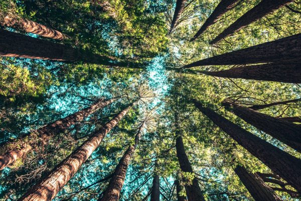 casey-horner-487085-unsplash